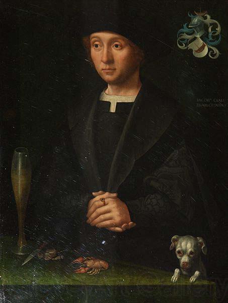 Jacob Claesz van Utrecht Member of the Alardes Family Norge oil painting art